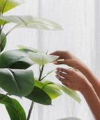 Artificial Ficus by Maia Shop