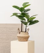 Artificial Ficus by Maia Shop